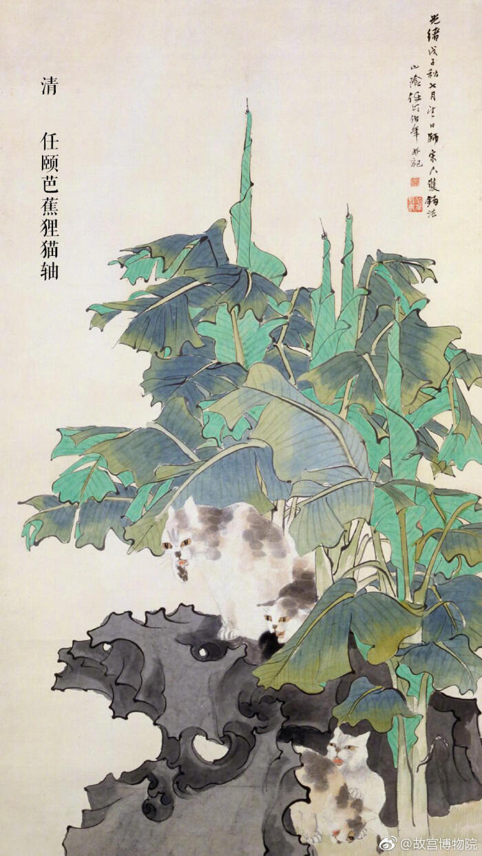 清 任颐 芭蕉狸猫图轴 旋种芭蕉听雨声