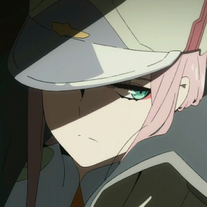 自截头像darling in the franxx