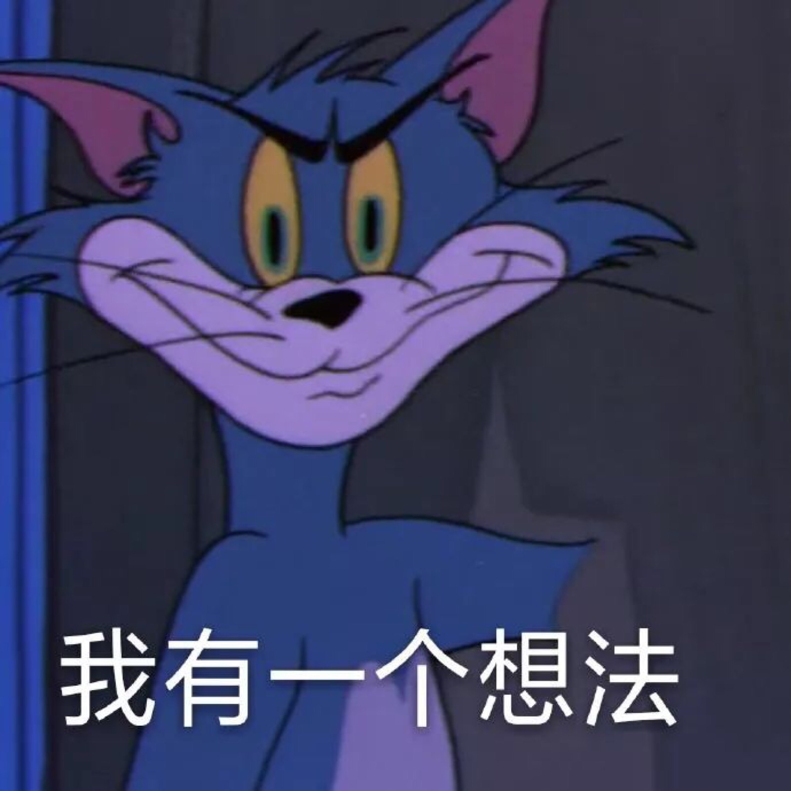 表情包 猫和老鼠