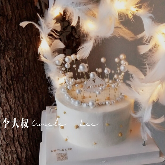 大叔家ins网红生日蛋糕