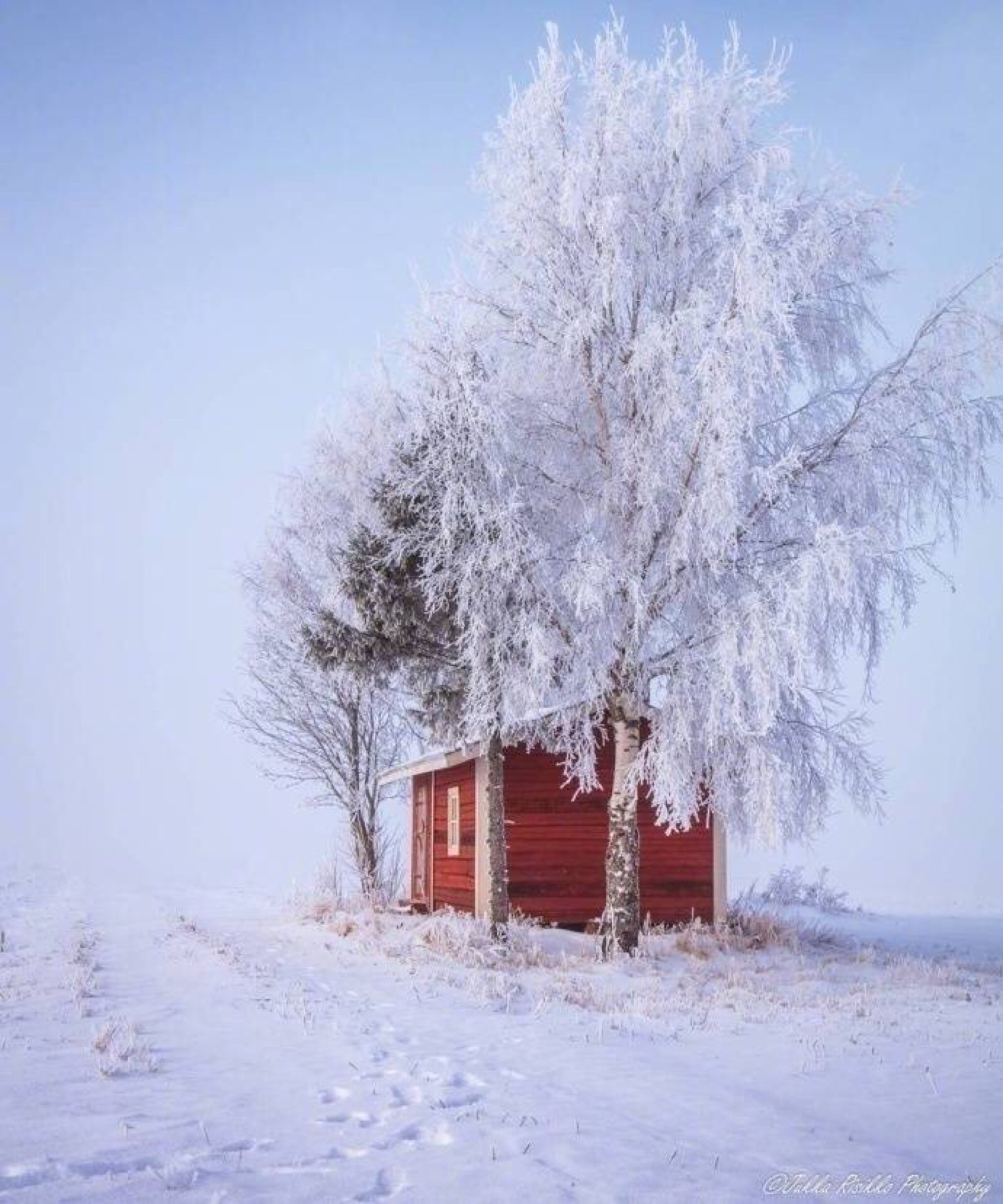 芬兰lapua的雪景