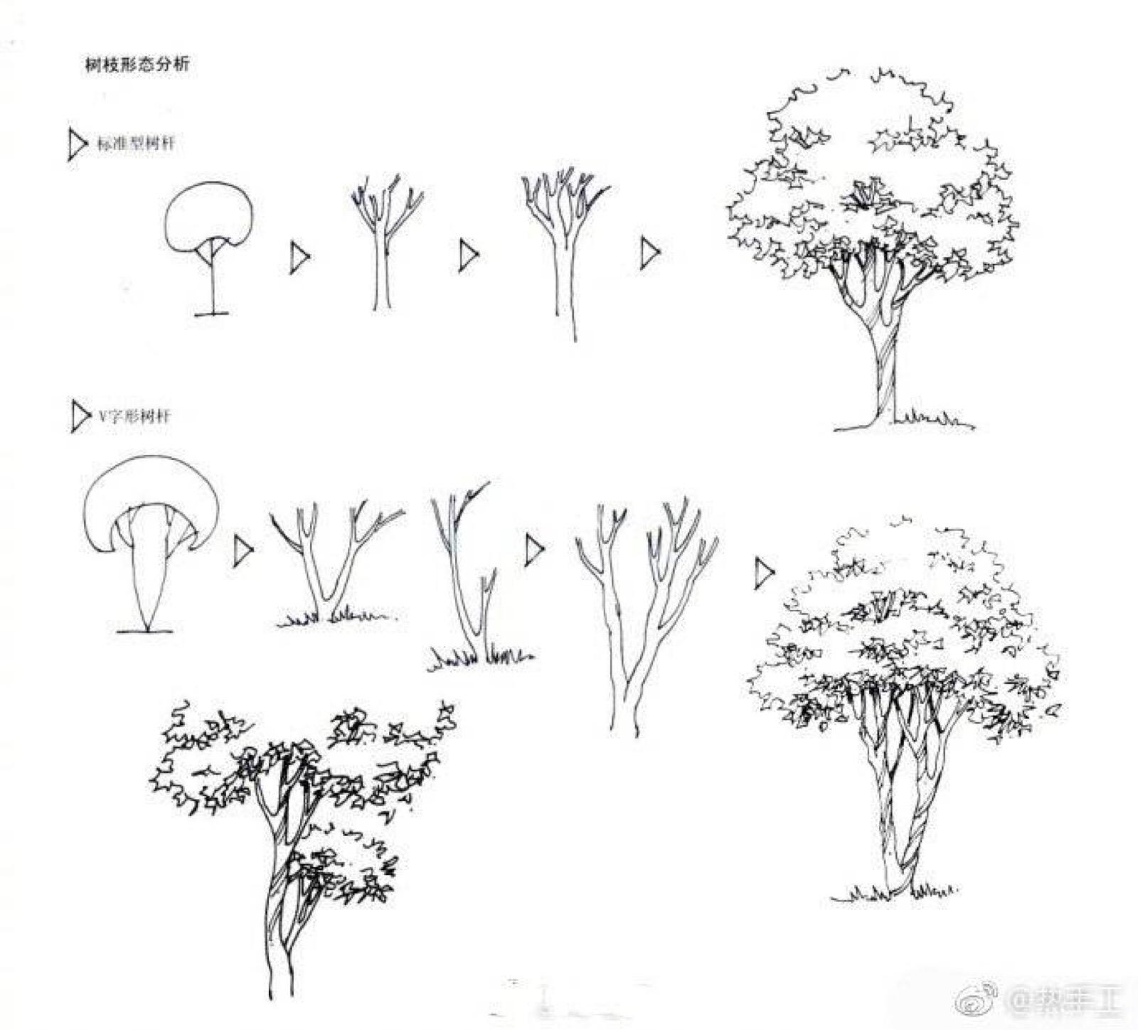 树木画法