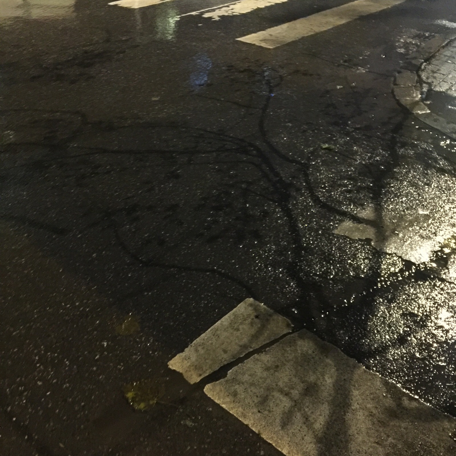 我住的城市下雨了