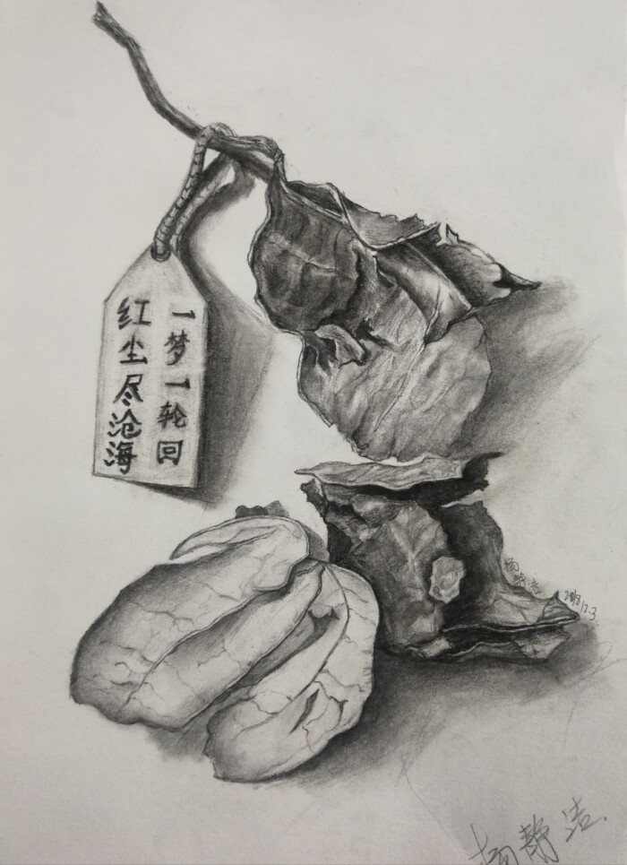 学生作业 微观素描