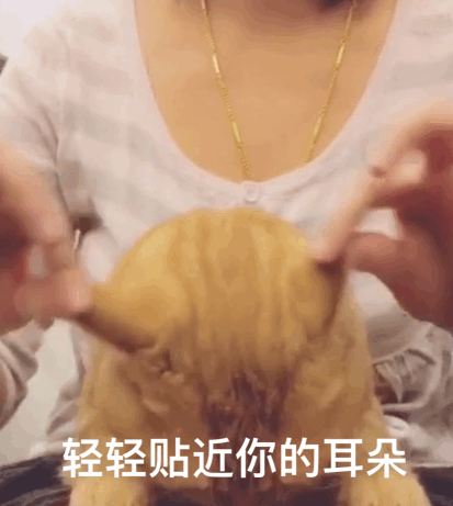 可爱表情包已上线