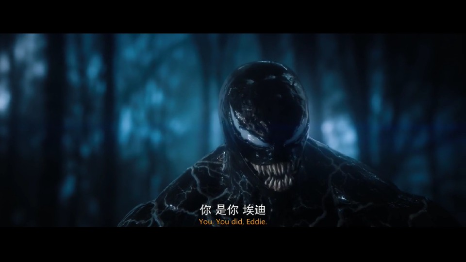 毒液 致命守护者