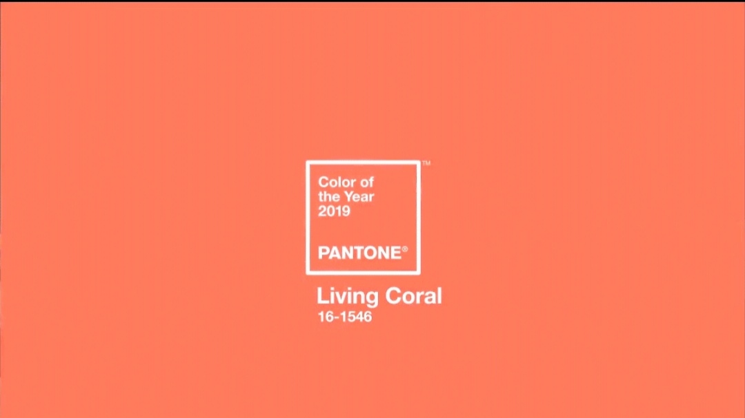颜色—﹉2019年度流行色诞生﹉living coral ﹉珊瑚红