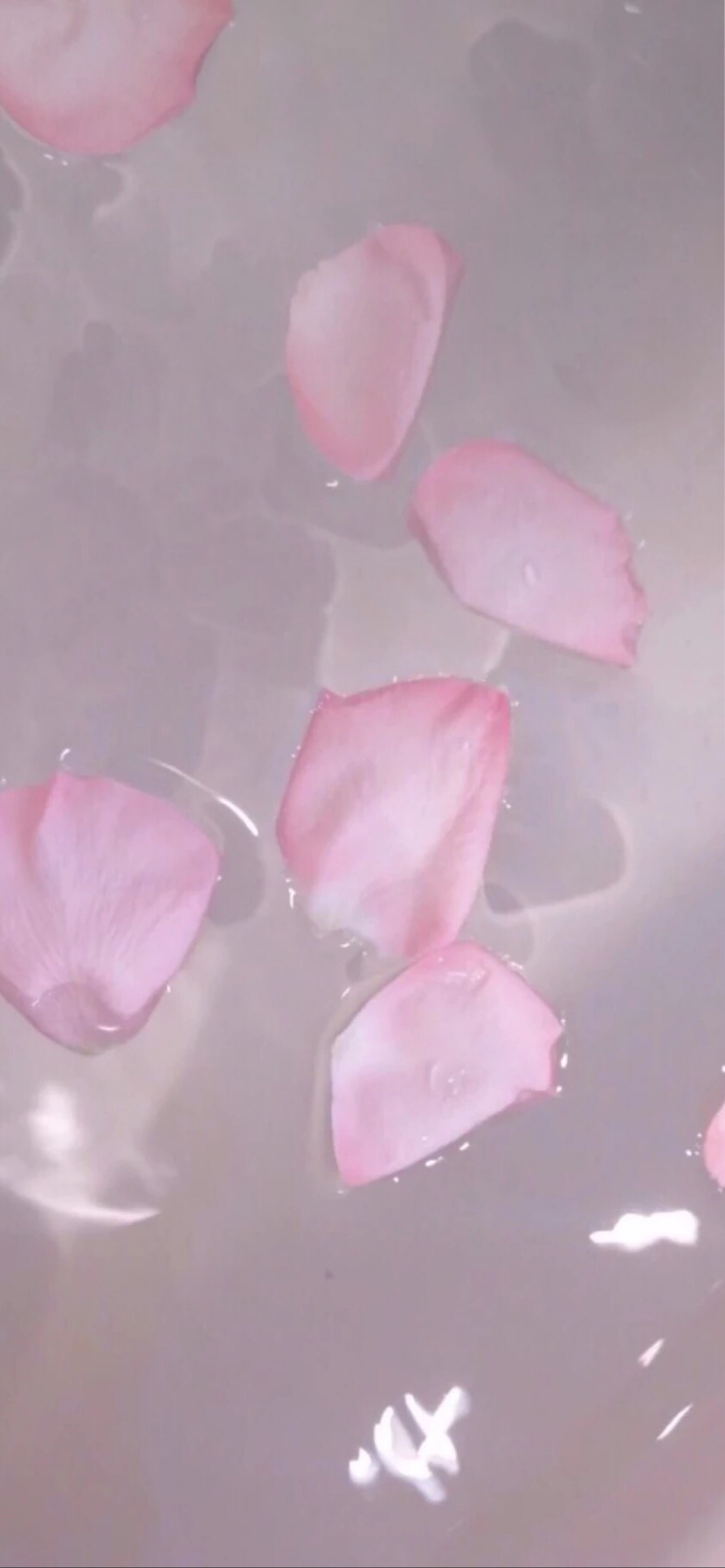 ins粉色壁纸