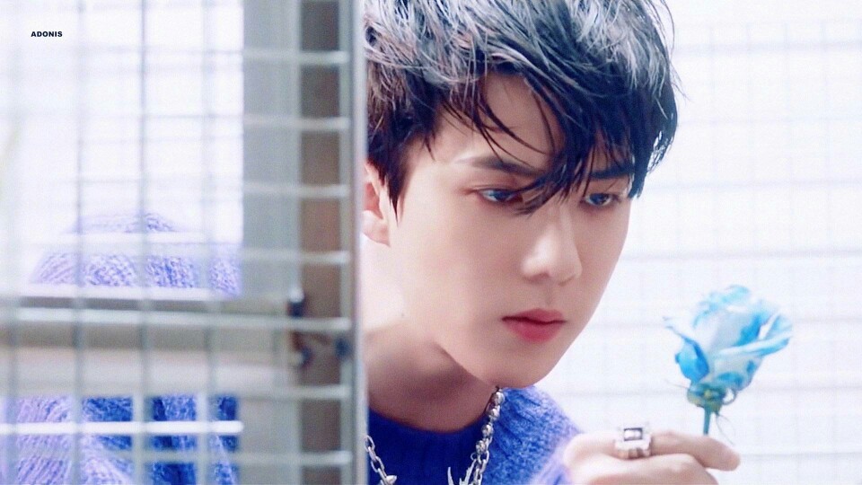 exo吴世勋 壁纸 ohsehun