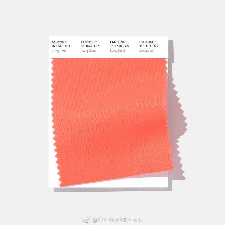 2019潘通流行色 活珊瑚色 2019 pantone colour living coral