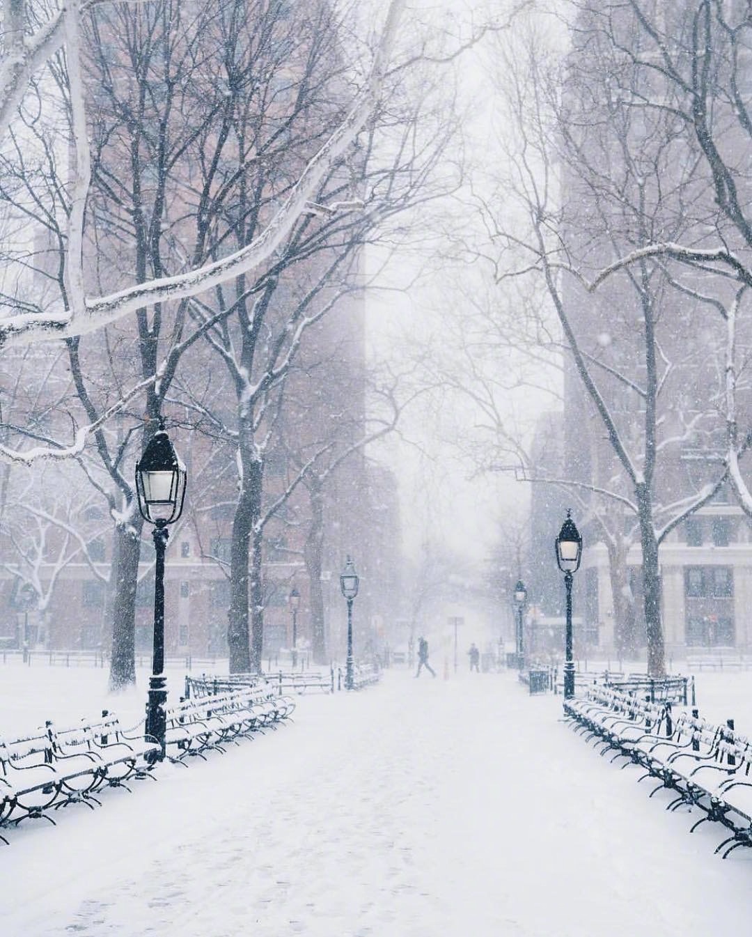 今天大雪# 上海,南京,杭州都下雪了,那我们再来看看纽约的大雪