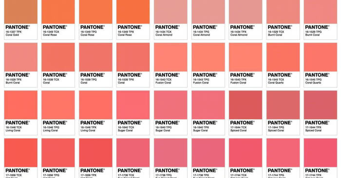 pantone发布了2019年度流行色—living coral(pantone 16-1546),感觉