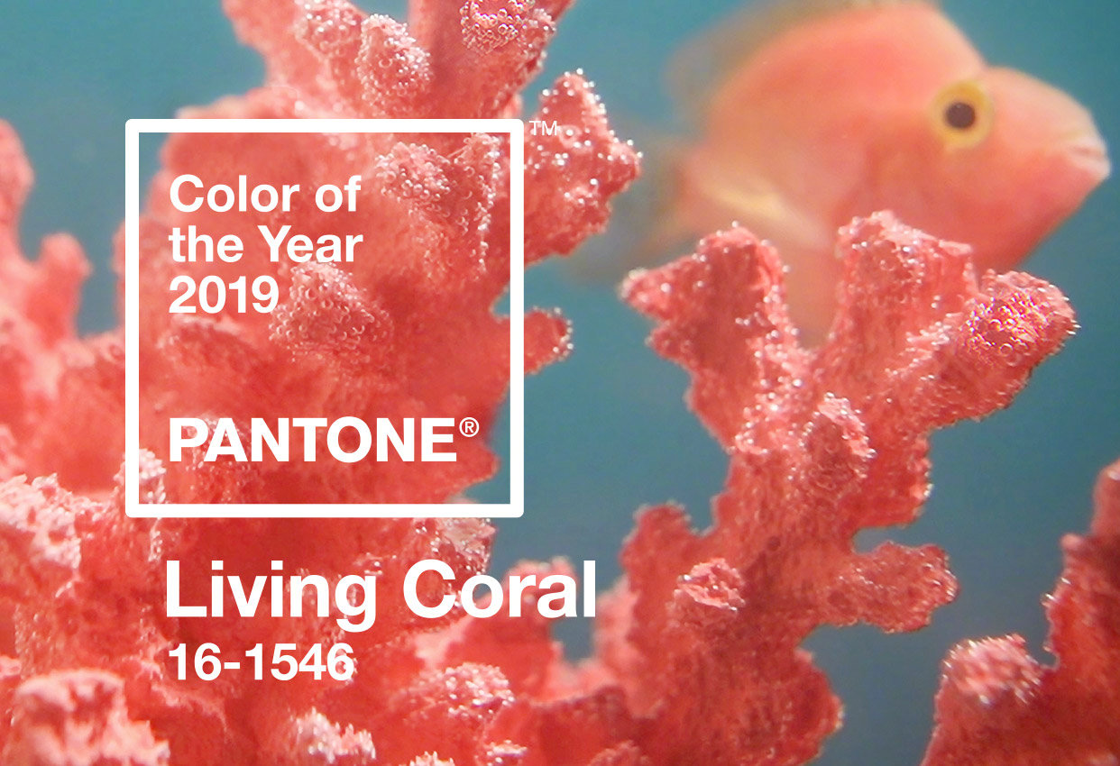 2019年度流行色珊瑚橙(living coral,色号pantone 16-1546),官方形容