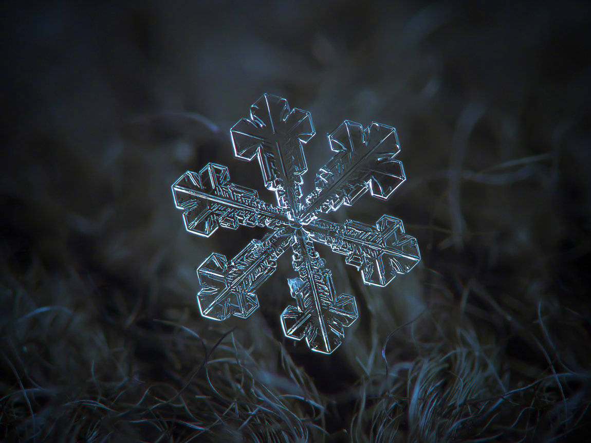 雪花