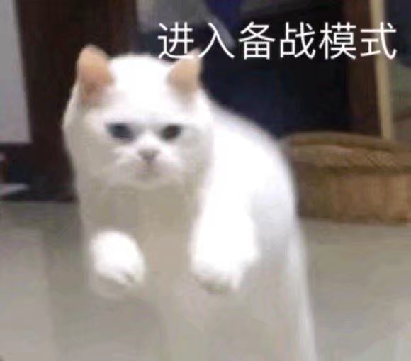 猫咪表情包
