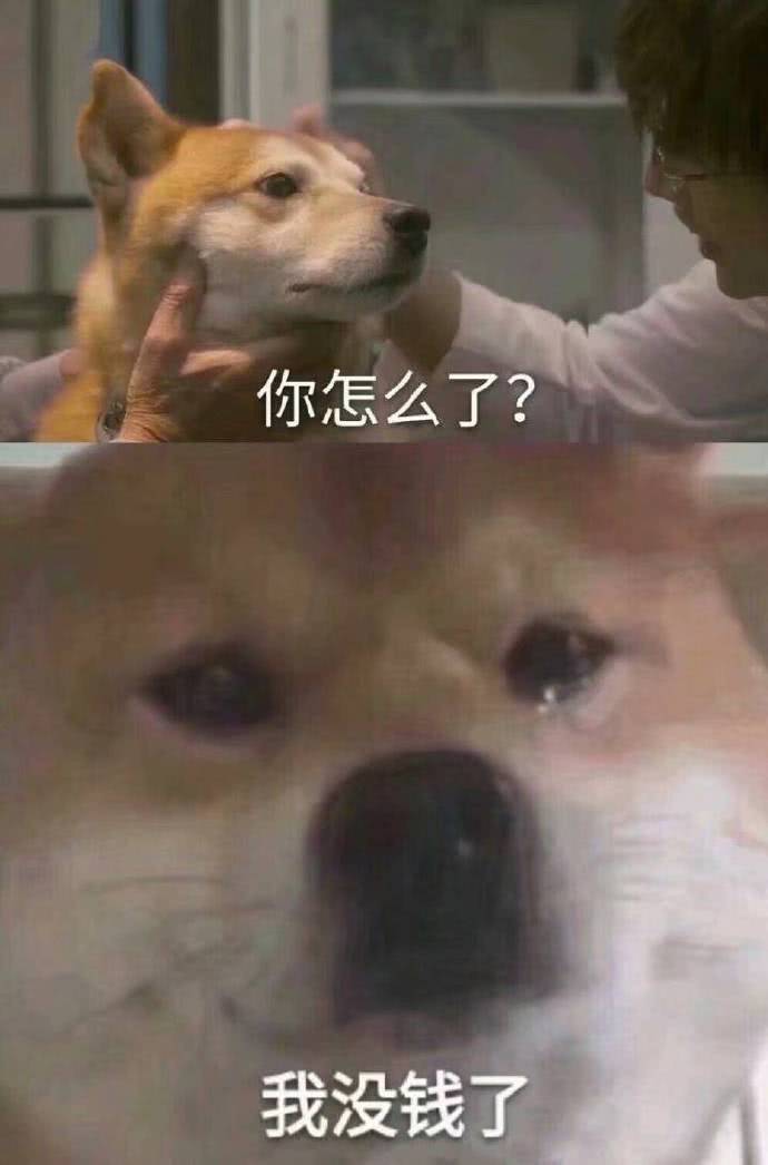沙雕表情包可爱哈哈哈哈(ω)hiahiahia