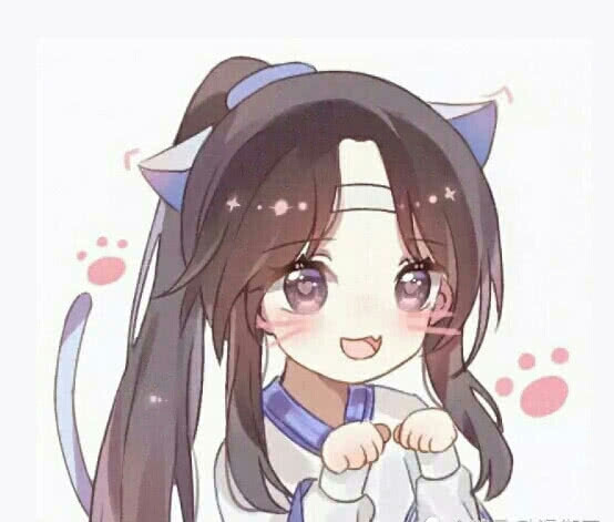 蓝思追 
