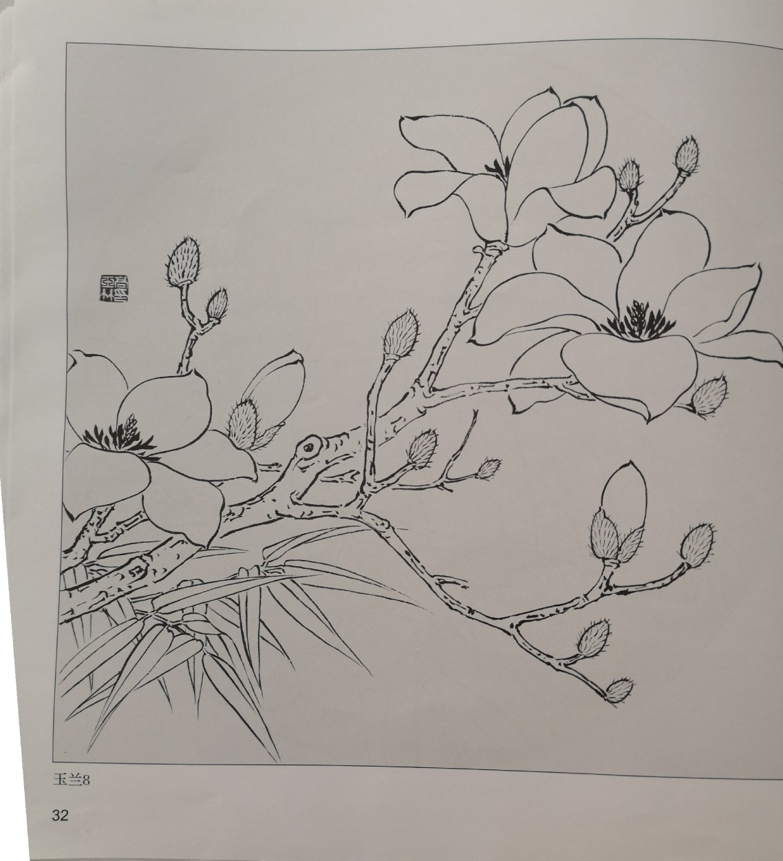 白描 字画 线稿【荷【莲【菊【玉兰【牡丹】