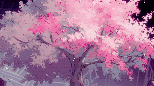 唯美花开