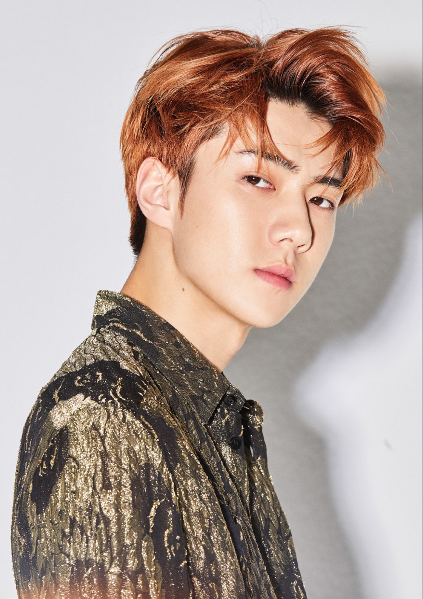 exo正规五辑后续专辑《loveshot》sehun 吴世勋