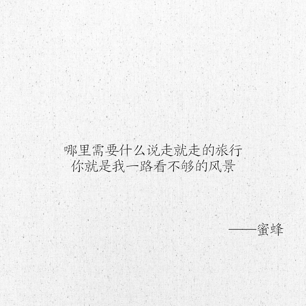 文字 网易云热评 蜜蜂