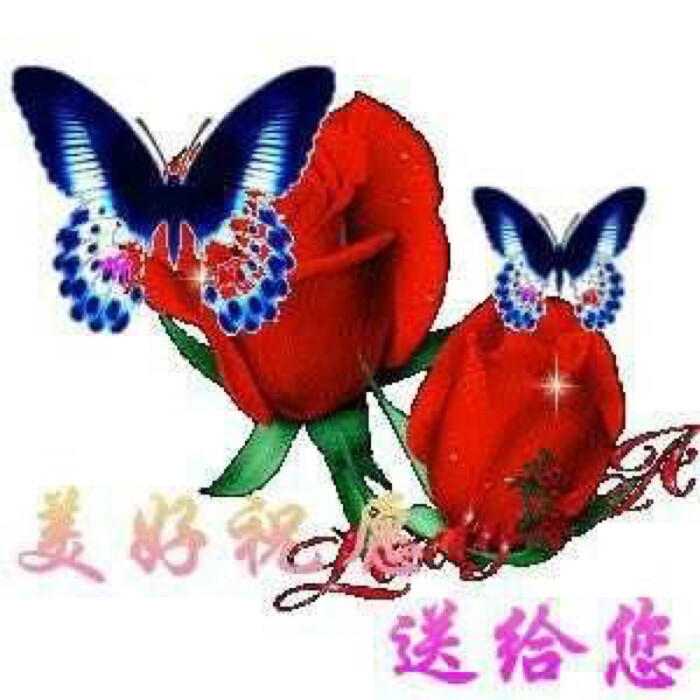中老年表情包