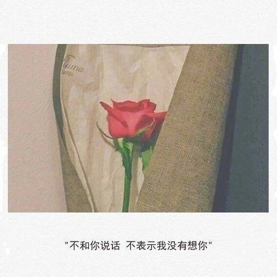 "任何东西只要足够迷惑你,就足以毁了你,心软是病,情深致命."