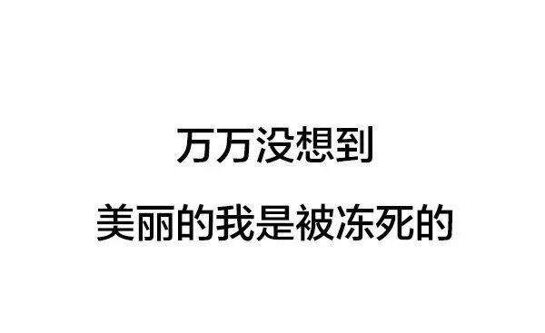 斗图必备表情包 朋友圈配图 这天气把我气质都冻没了