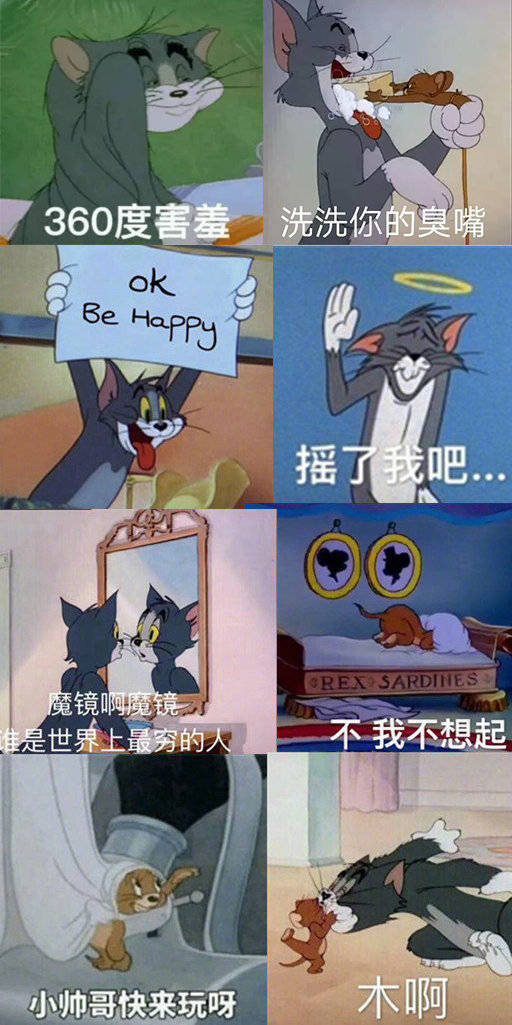 猫和老鼠表情包