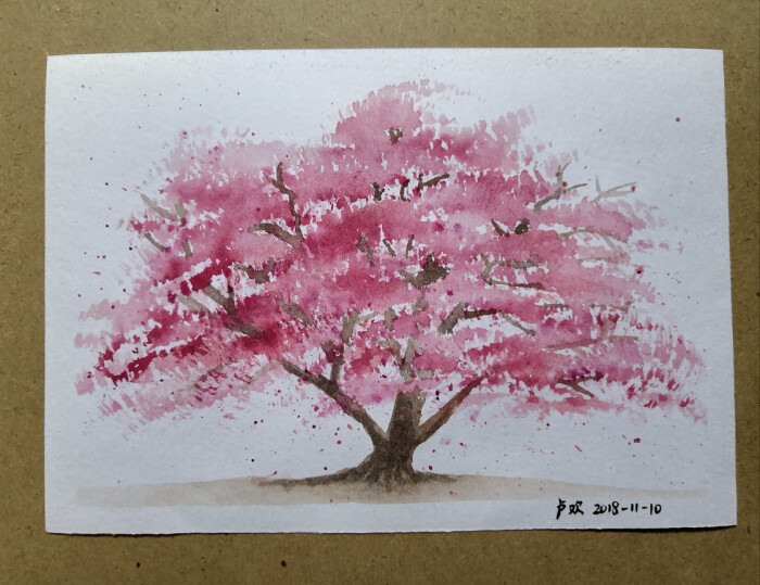 10樱花树
