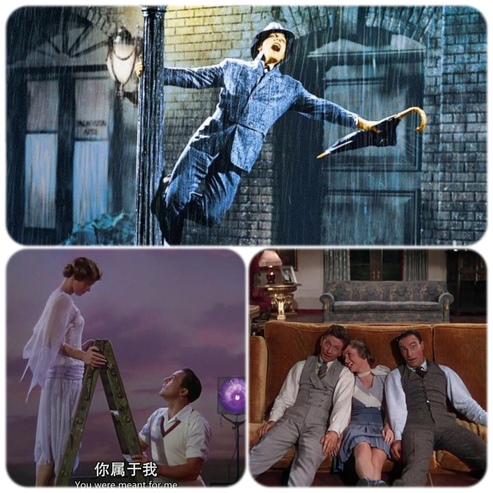 《雨中曲.60多年前的音乐电影,相当老的-堆糖,美好生活研究所