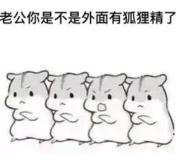 夫妻表情包