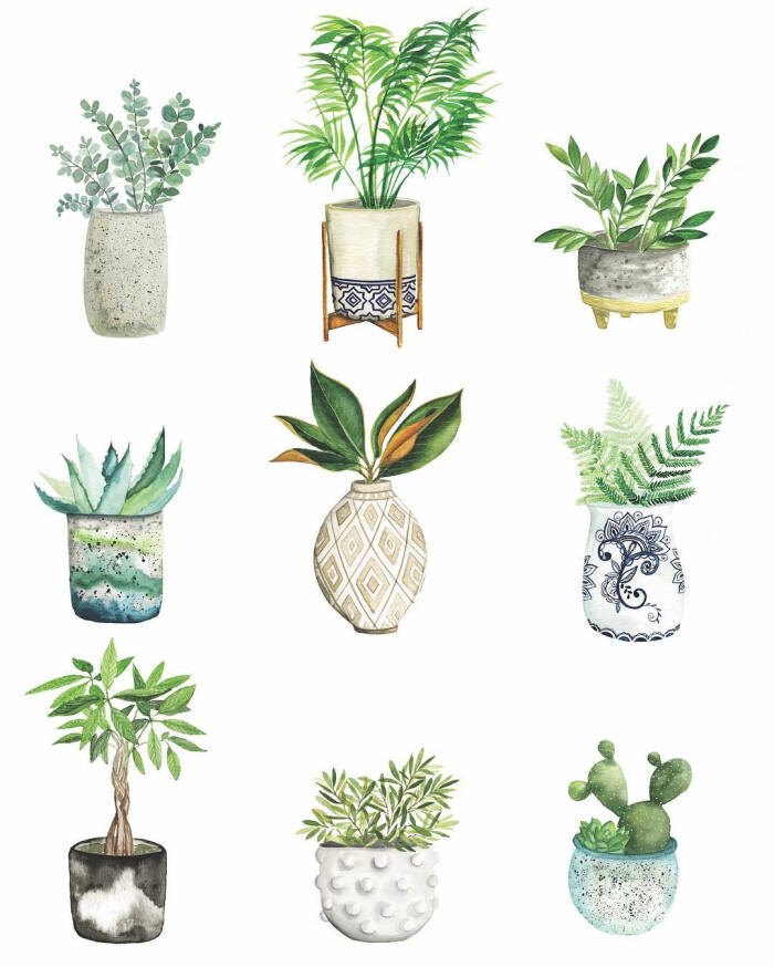 植物手帐素材 ins:pricklpearpaints