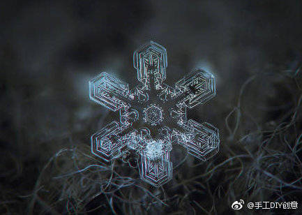 你知道雪花长什么样子吗?