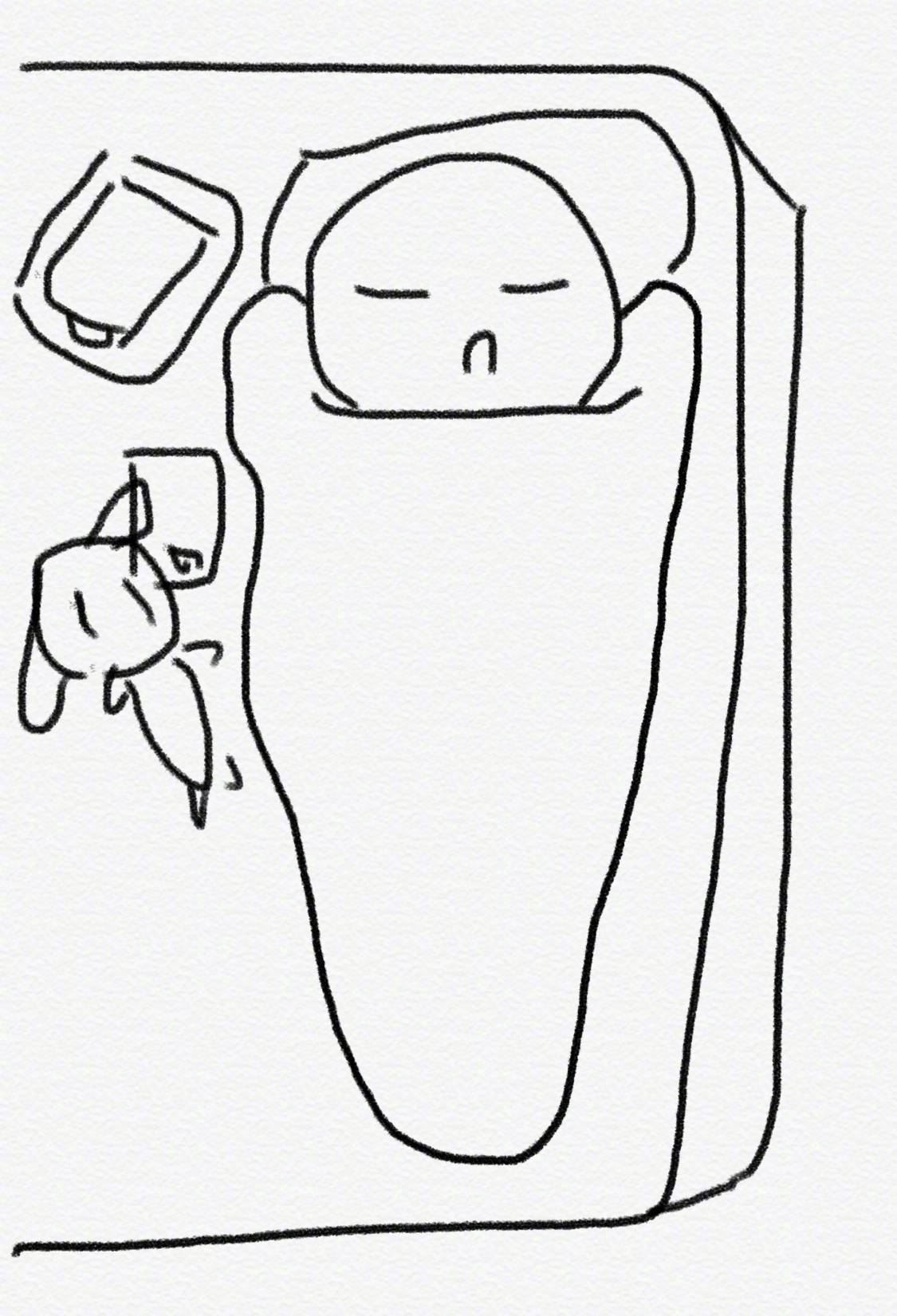 一个人睡的两种基本睡姿#搞笑