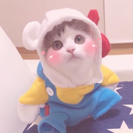 可爱喵 