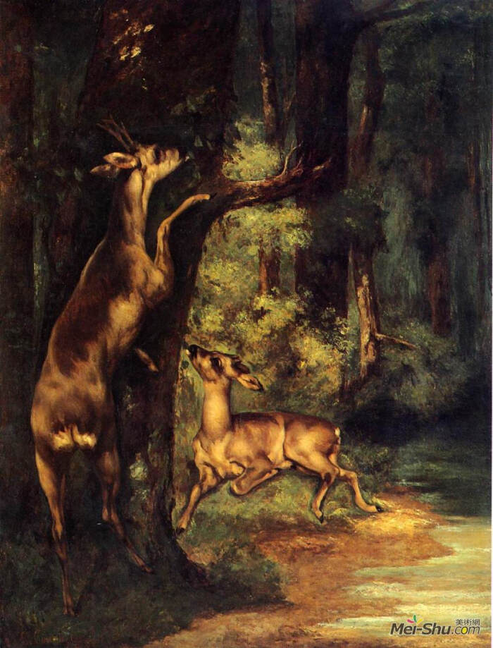 树林里的雄鹿和雌鹿