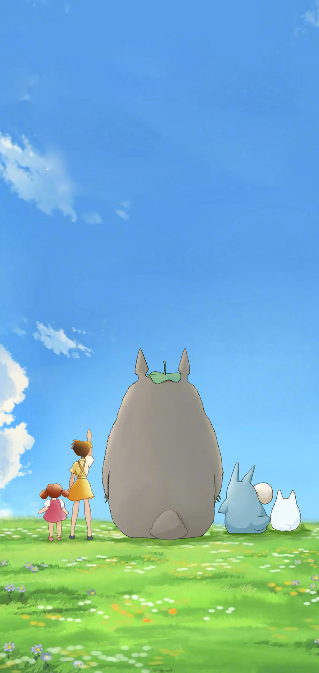 龙猫