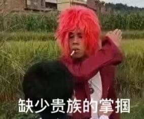 表情包/高糊/高清/熊猫头/猫咪/截图表情/可爱/卖萌/套路/柴犬/沙雕