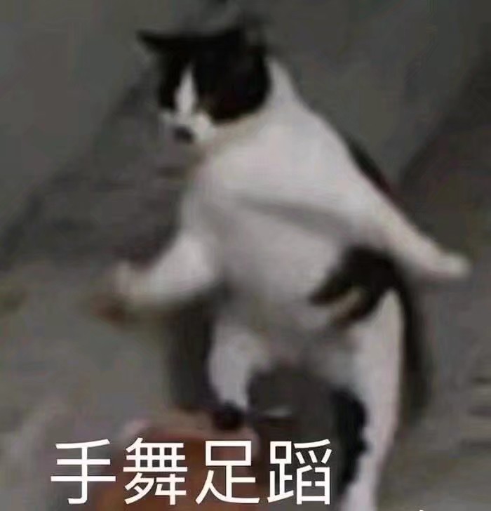 表情包/高糊/高清/熊猫头/猫咪/截图表情/可爱/卖萌/套路/柴犬/沙雕