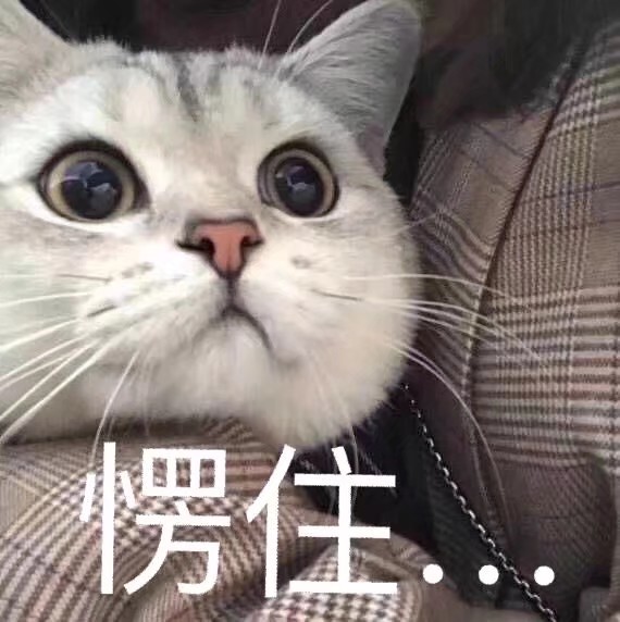 v:dacl_dd 表情包/高糊/高清/熊猫头/猫咪/截图表情/可爱/卖萌/套路