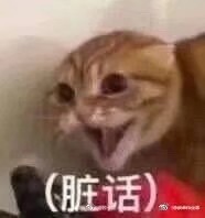 表情包/高糊/高清/熊猫头/猫咪/截图表情/可爱/卖萌/套路/柴犬/沙雕