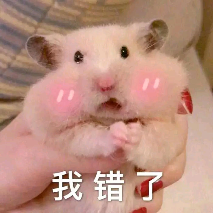 v:dacl_dd 表情包/高糊/高清/熊猫头/猫咪/截图表情/可爱/卖萌/套路