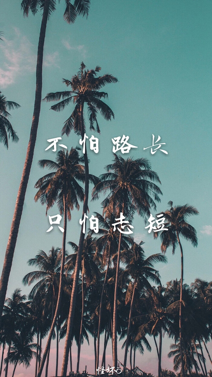 努力!背景图源:堆糖励志字体:百度