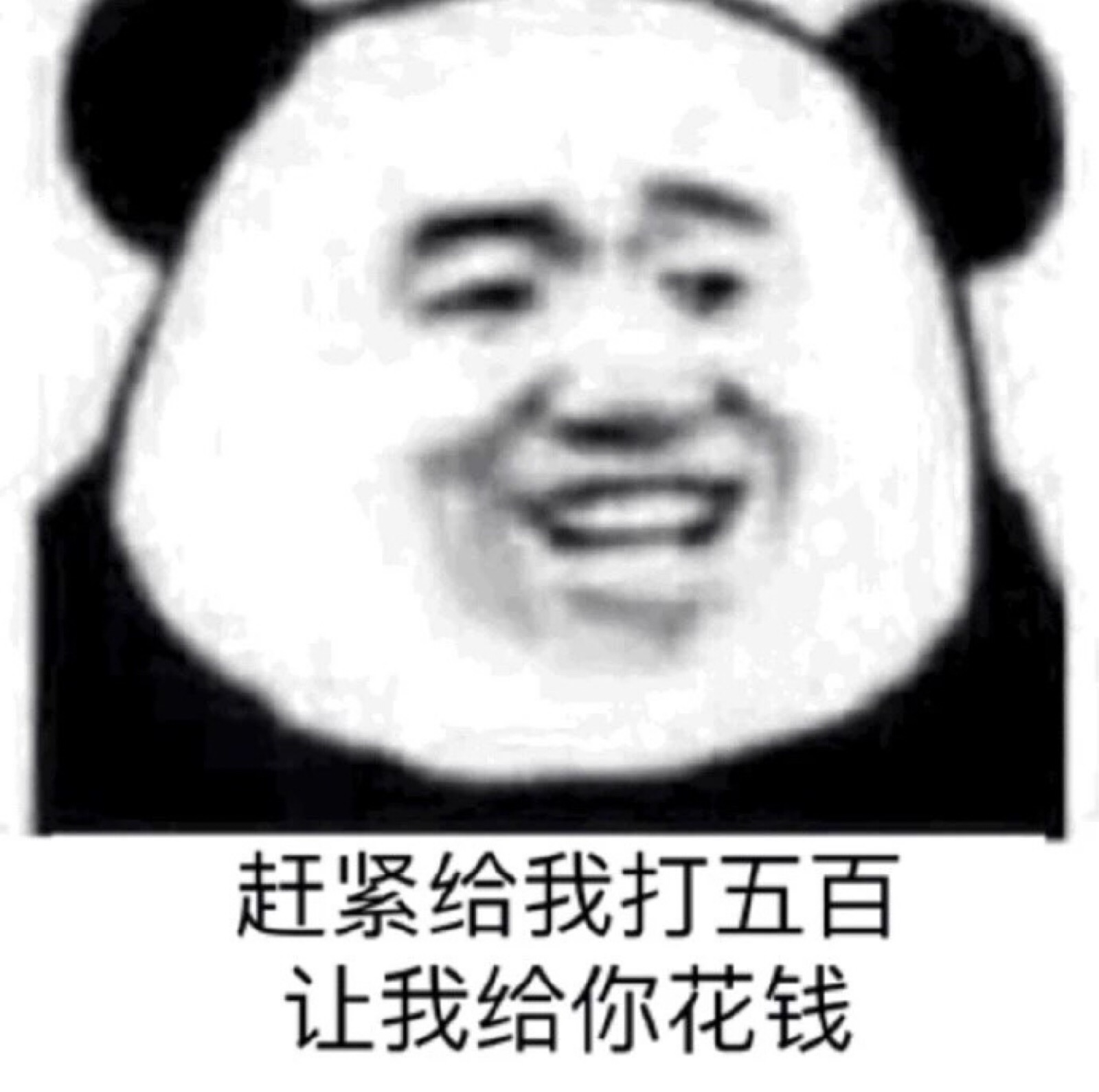 打钱系列表情包