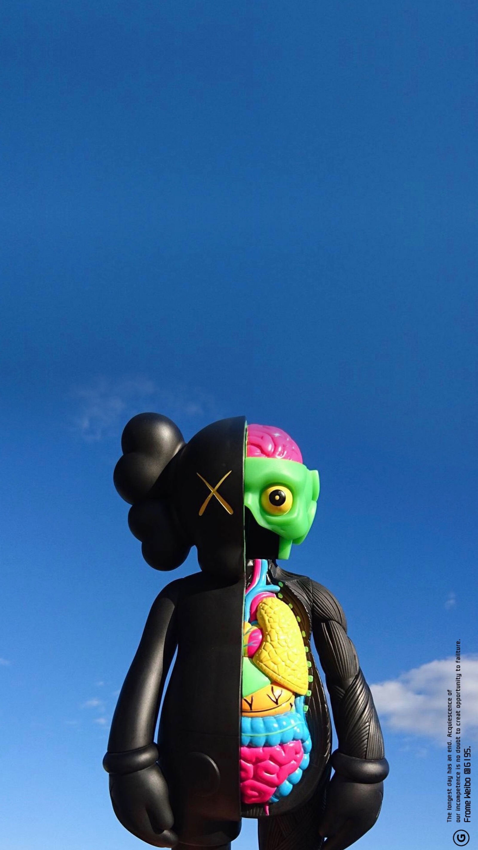 kaws 