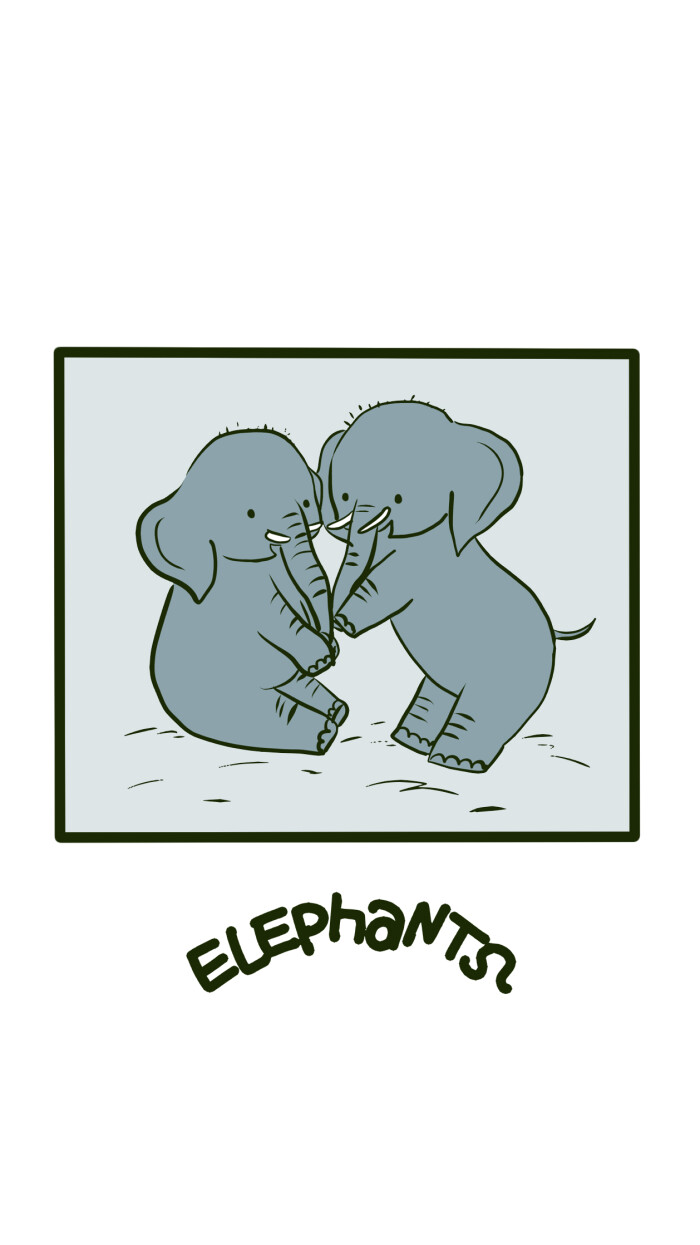 卡通小象,两只小象