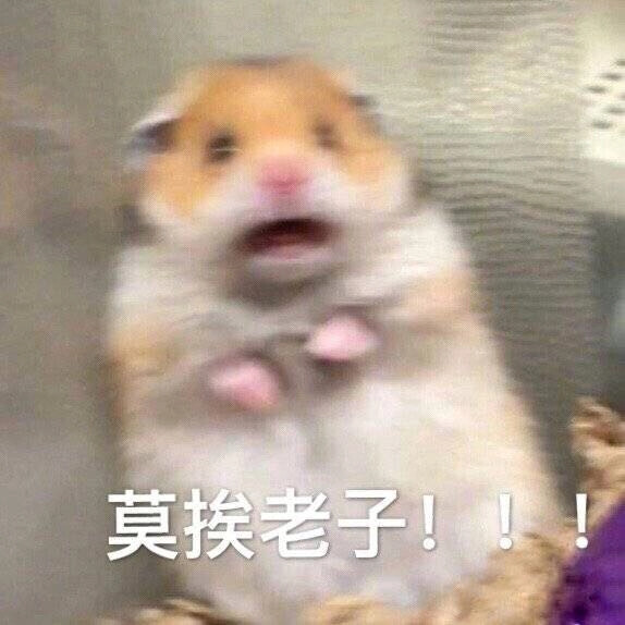 如果你骂我,以上的话当我没说过,我祝你妈今晚胎盘绕颈气绝身亡你全家