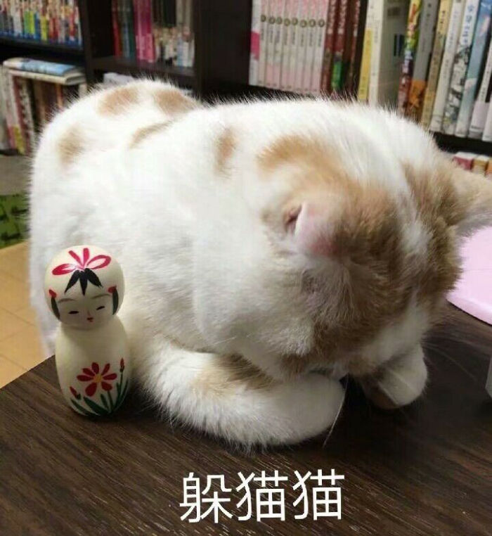 躲猫猫 