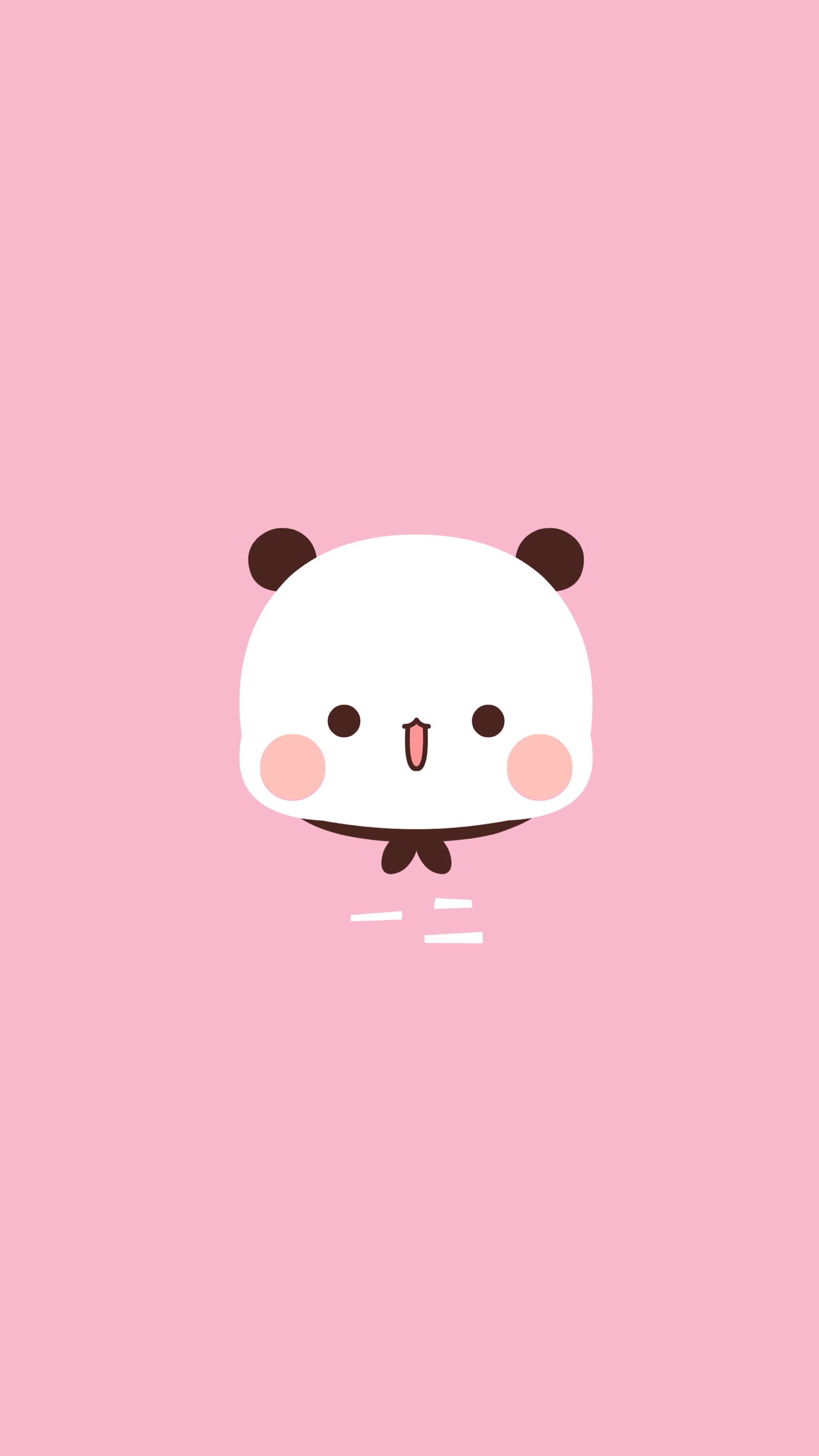 小熊猫 